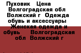 Пуховик › Цена ­ 8 000 - Волгоградская обл., Волжский г. Одежда, обувь и аксессуары » Женская одежда и обувь   . Волгоградская обл.,Волжский г.